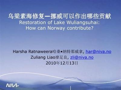 破局蓝海 在线手游版权代理的掘金之道与文化深耕