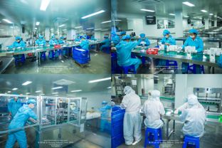 蔻琦代理参观生产工厂 见证品质与专业的力量